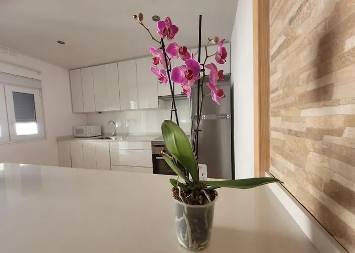 Acogedora Casa Con Vistas Panoramicas De * Vigo